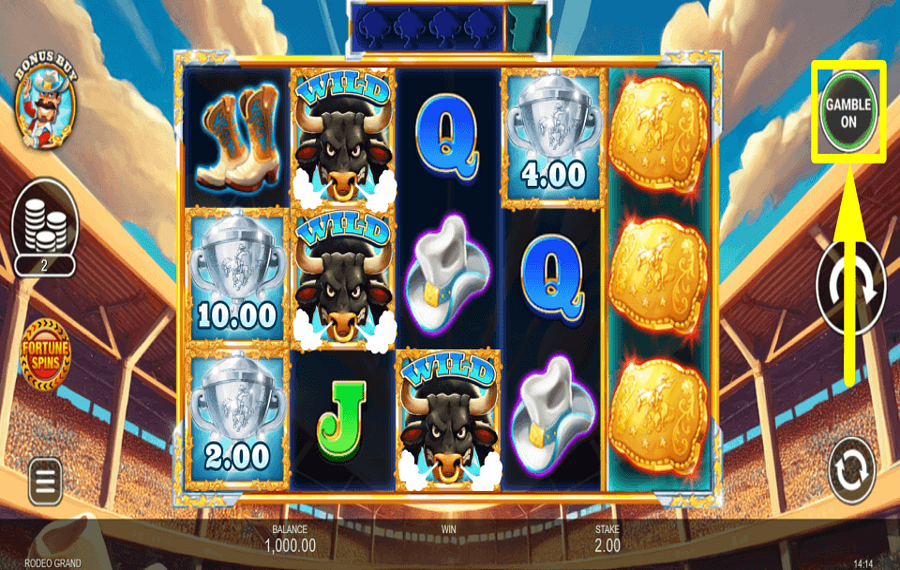Rodeo Grand ACCEPT THE RISK.