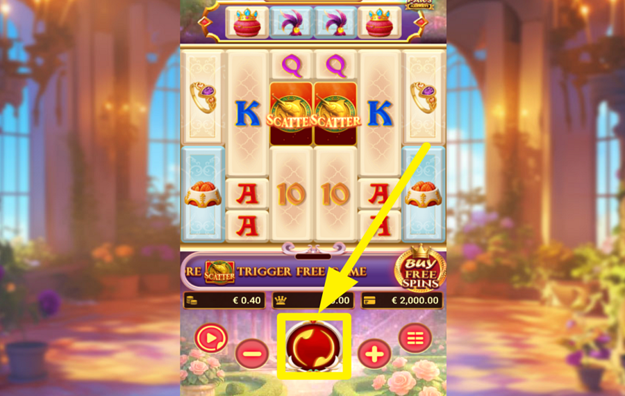 Royal Paws Maxways COMMENCEZ VOTRE JEU!