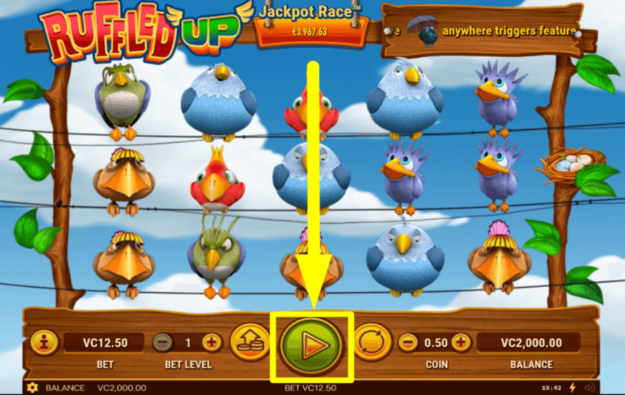 Ruffled up CLICCA SUL PULSANTE “GIOCA”.