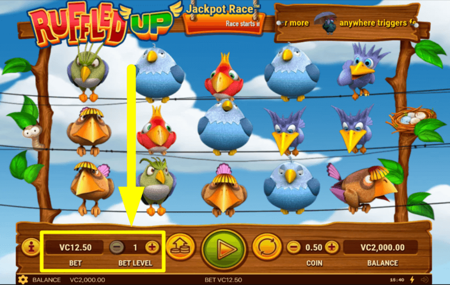 Ruffled up SCEGLI LA TUA SCOMMESSA TOTALE.