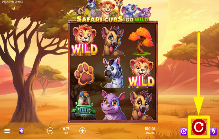 Safari Cubs Go Wild SPIN TO WIN!