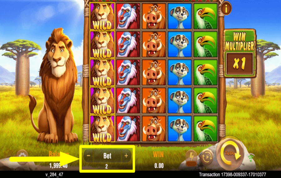 Safari Mystery DÉTERMINER LA MISE.