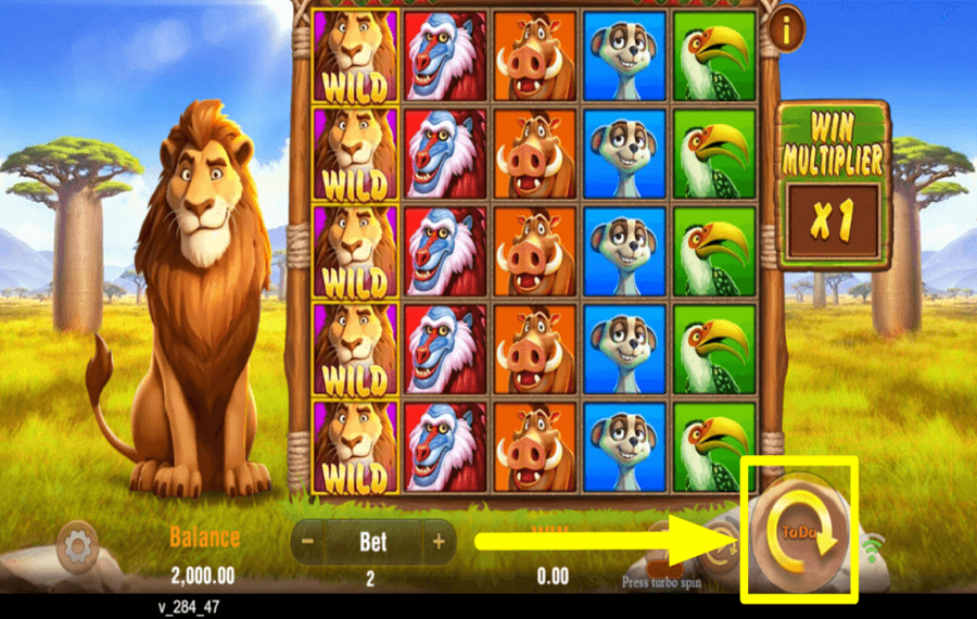 Safari Mystery IL EST TEMPS DE JOUER.