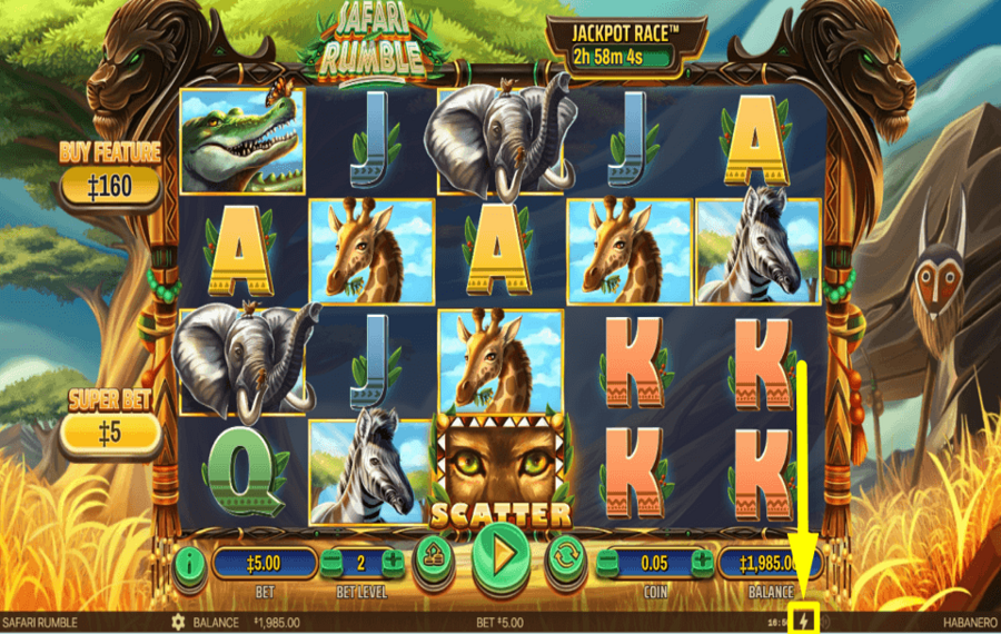 Safari Rumble PICK UP THE PACE.