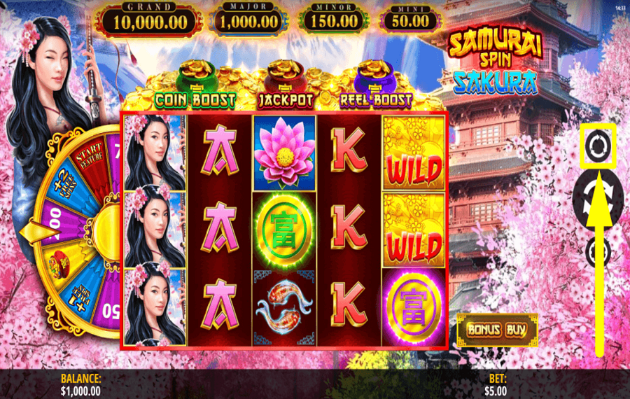 Samurai Spin Sakura UTILIZZA LA RIPRODUZIONE AUTOMATICA.