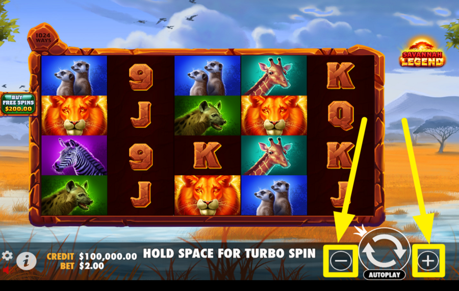 Savannah Legend CUSTOMIZE YOUR BET SETTINGS.