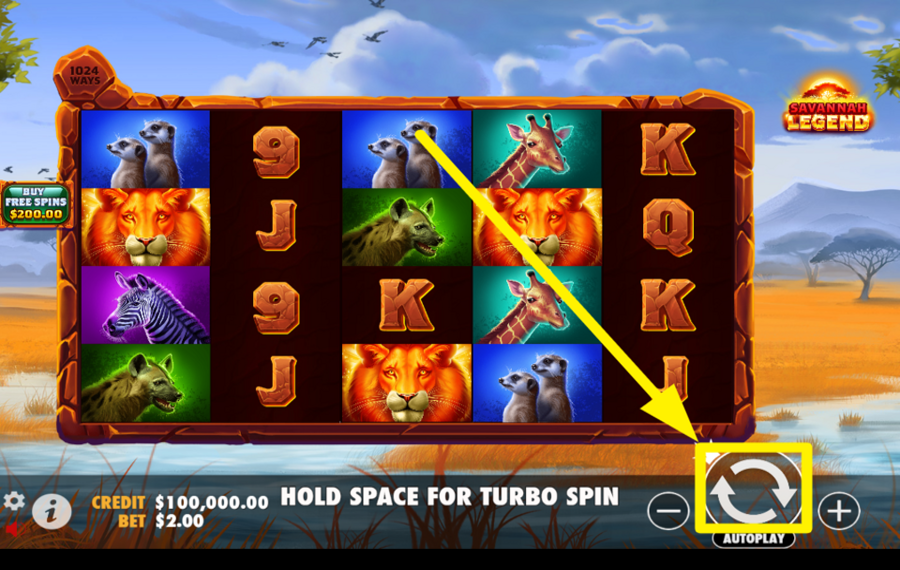 Savannah Legend PARTICIPATE IN THE FUN!