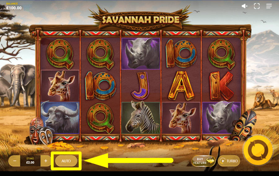 Savannah Pride AUTOMATISCH FORTFAHREN.