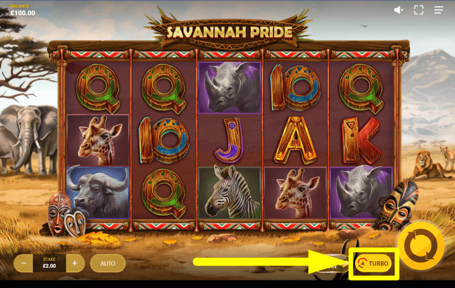 Savannah Pride ERHÖHEN SIE DAS TEMPO.