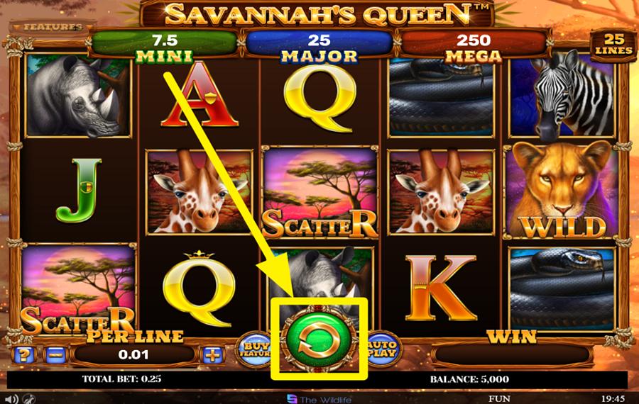Savannahs Queen ¡GIRA PARA EL ÉXITO!