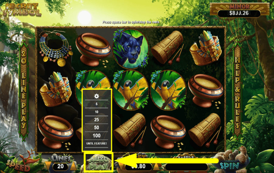 Secret Symbol UTILIZZA LA FUNZIONE “GIOCO AUTOMATICO”.