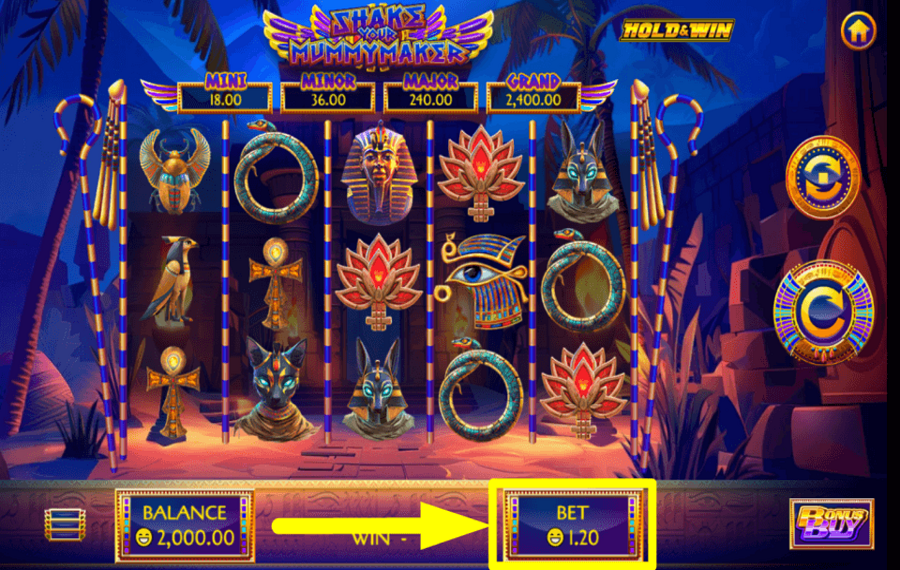 Shake Your Mummymaker ВЫ БЕРИТЕ СВОЮ СТАВКУ.