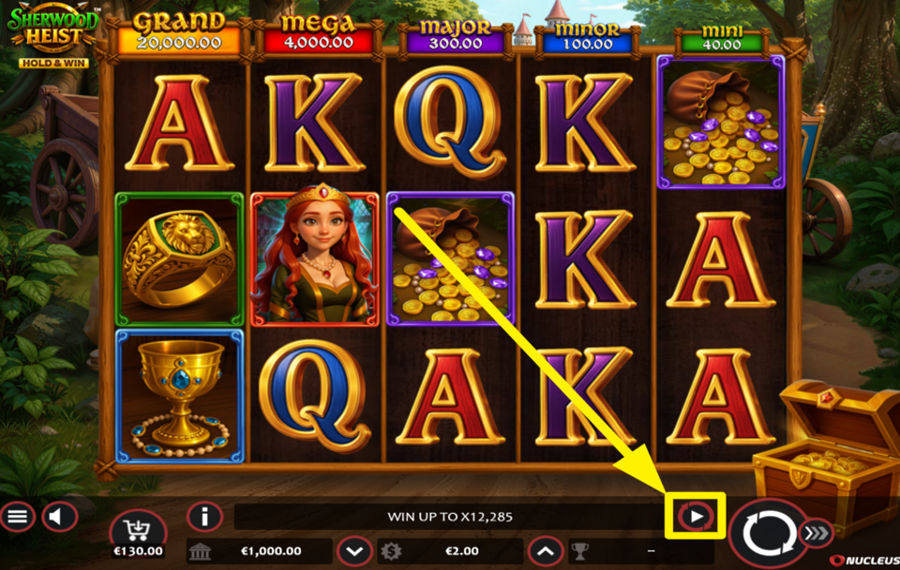 Sherwood Heist Hold and Win USE AUTOMATED SPINS.