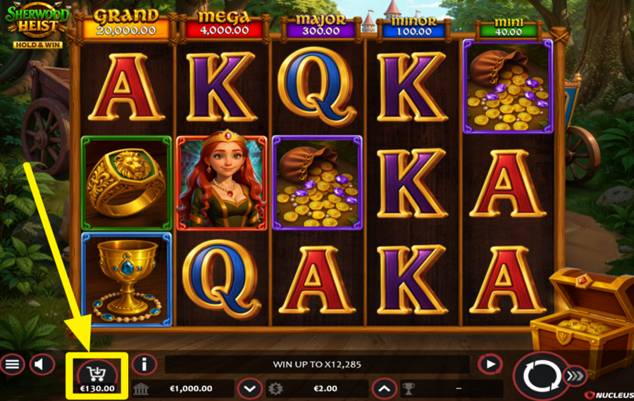 Sherwood Heist Hold and Win ADD TO THE FUN!