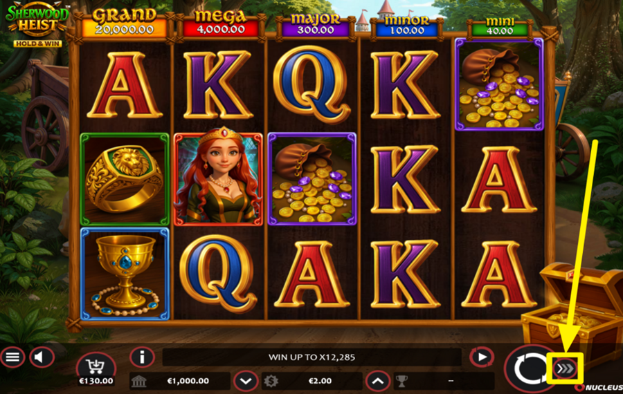 Sherwood Heist Hold and Win SPEED UP THE ACTION.