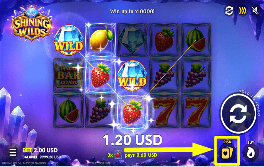 Shining Wilds ENVISAGEZ LES JEUX DE HASARD.