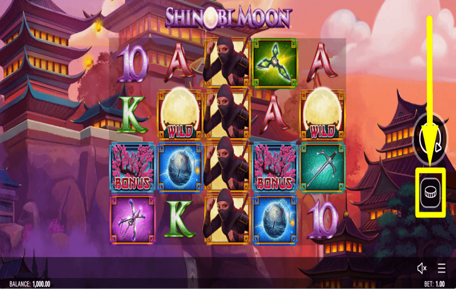 Shinobi Moon DETERMINE YOUR BET.