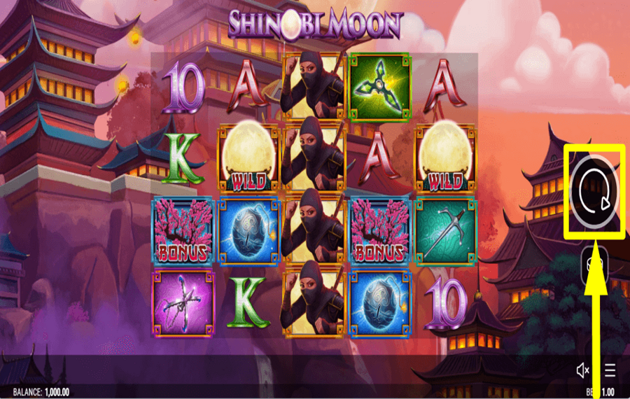 Shinobi Moon GET READY TO PLAY.