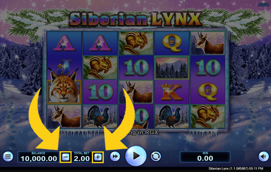 Siberian Lynx Choose the bet size