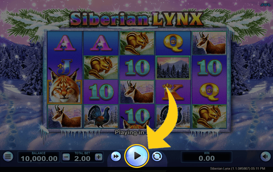 Siberian Lynx Press the “Spin” button