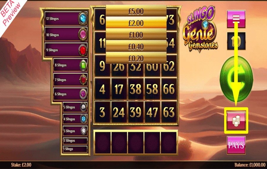 Slingo Genie Gemstones DÉTERMINEZ VOTRE PARI.