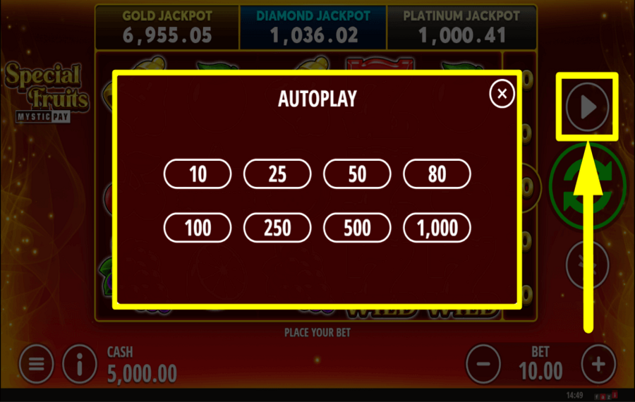 Special Fruits CONTINUE AUTOMATICALLY.