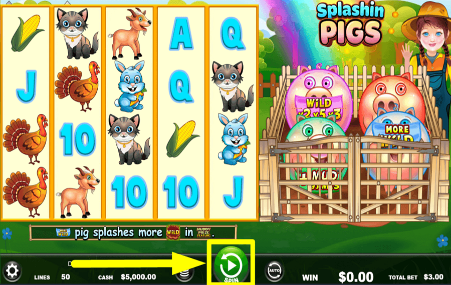 Splashin Pigs GAMBLE FOR REWARDS.