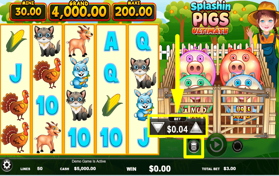 Splashin Pigs Ultimate MANAGE THE STAKE.