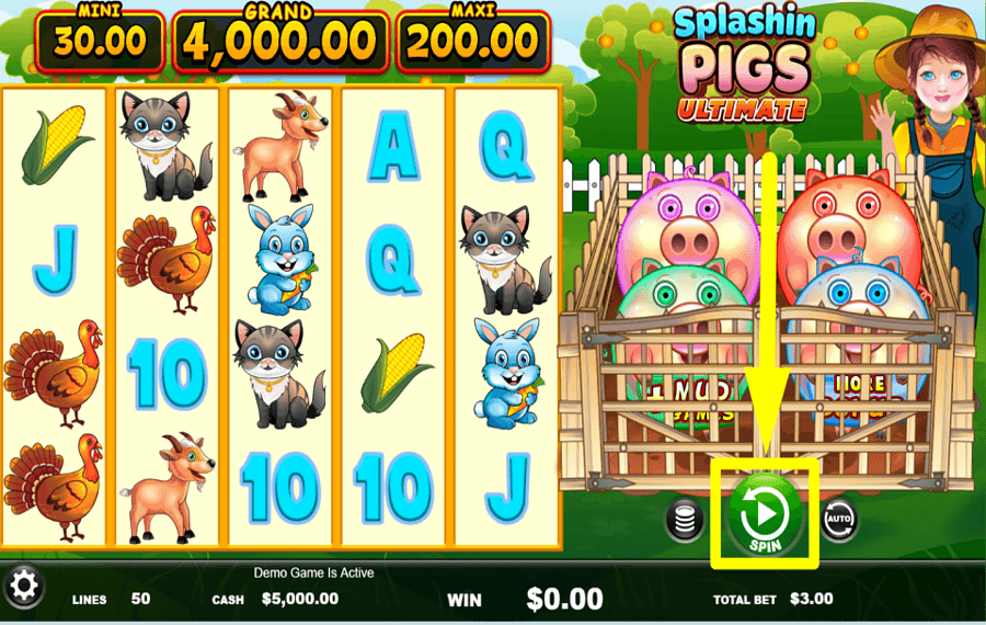 Splashin Pigs Ultimate TRY YOUR LUCK.