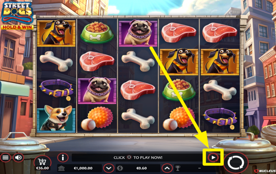 Street Dogs Hold and Win ENABLE AUTOPLAY.