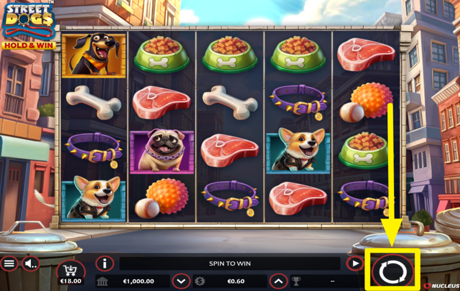 Street Dogs Hold and Win PARTICIPATE IN THE FUN!