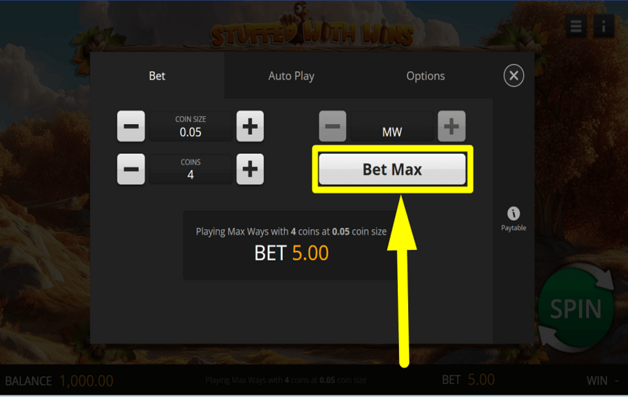 Stuffed with Wins STAKE MORE COINS.