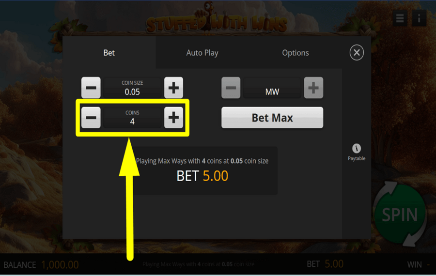 Stuffed with Wins SELECT YOUR COINS.