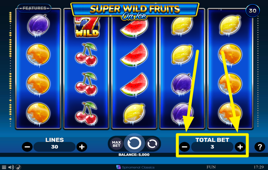 Super Wild Fruits On Ice DETERMINE YOUR TOTAL BET.