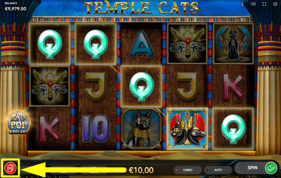 Temple Cats USE THE “GAMBLE”.