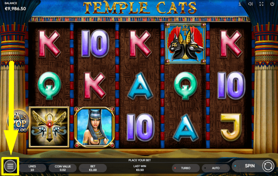 Temple Cats SCOUT THE SETTINGS MENU.