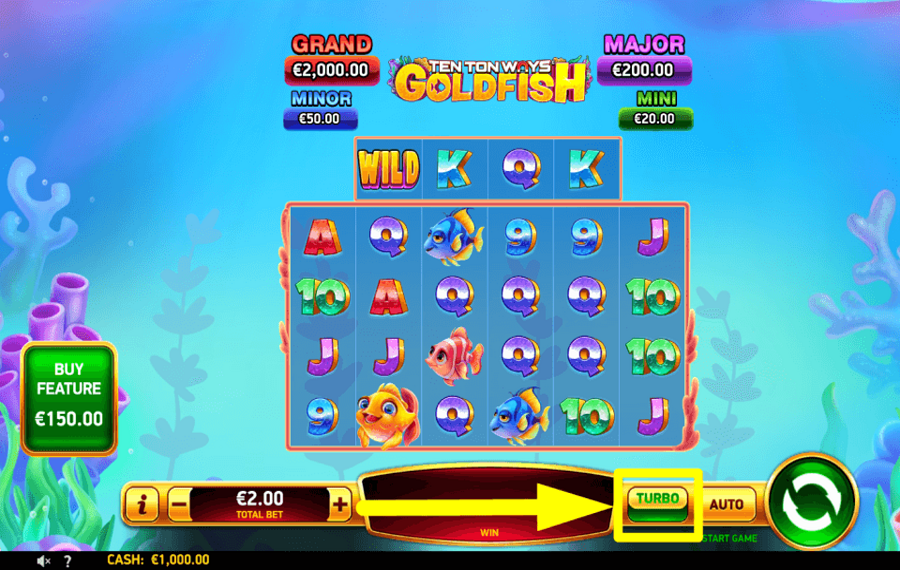 Ten Ton Ways Goldfish SCHNELLE SPINS ERLAUBEN.