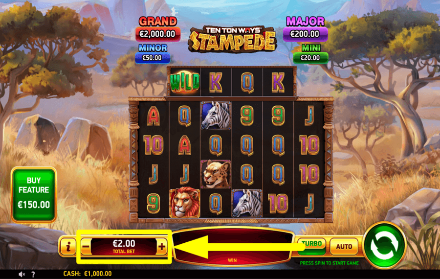 Ten Ton Ways Stampede ELIGE TU APUESTA.