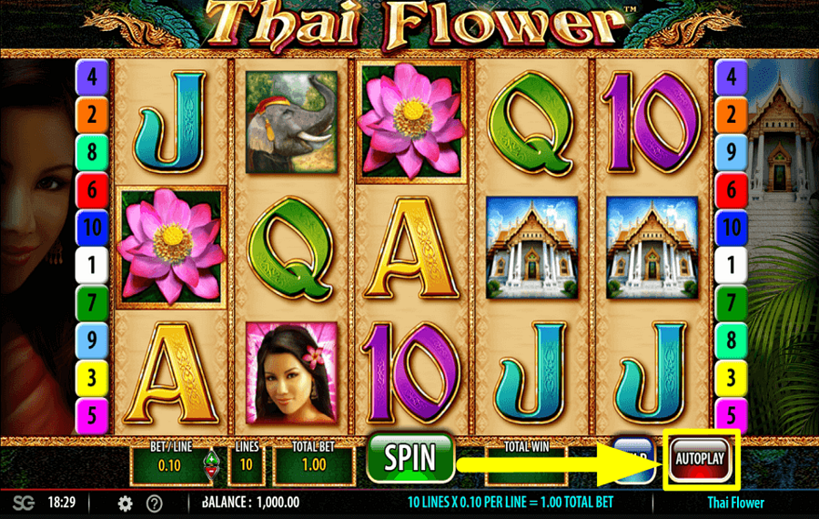 Thai Flower START AUTOMATIC SPINS.