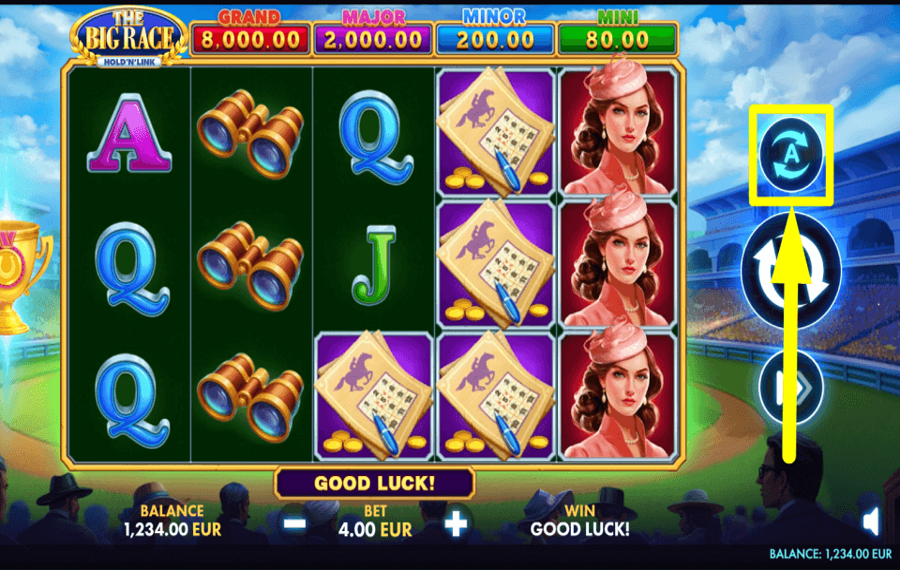 The Big Race Hold N Link VALUTARE LA RIPRODUZIONE AUTOMATICA.