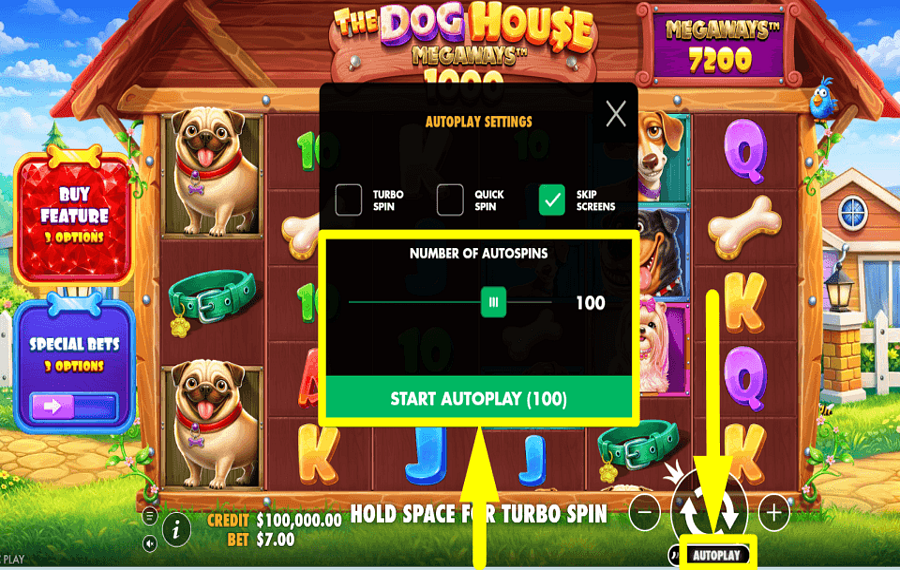 The Dog House Megaways 1000 ATTIVA LA RIPRODUZIONE AUTOMATICA.