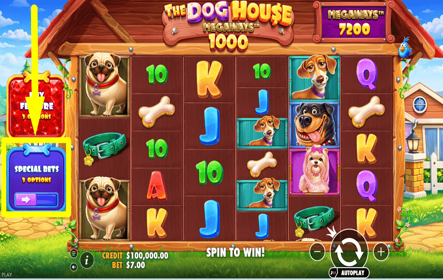 The Dog House Megaways 1000 ASSEGNARE LE PUNTATE ANTE.