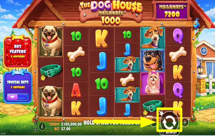 The Dog House Megaways 1000 PUNTA AL PREMIO.