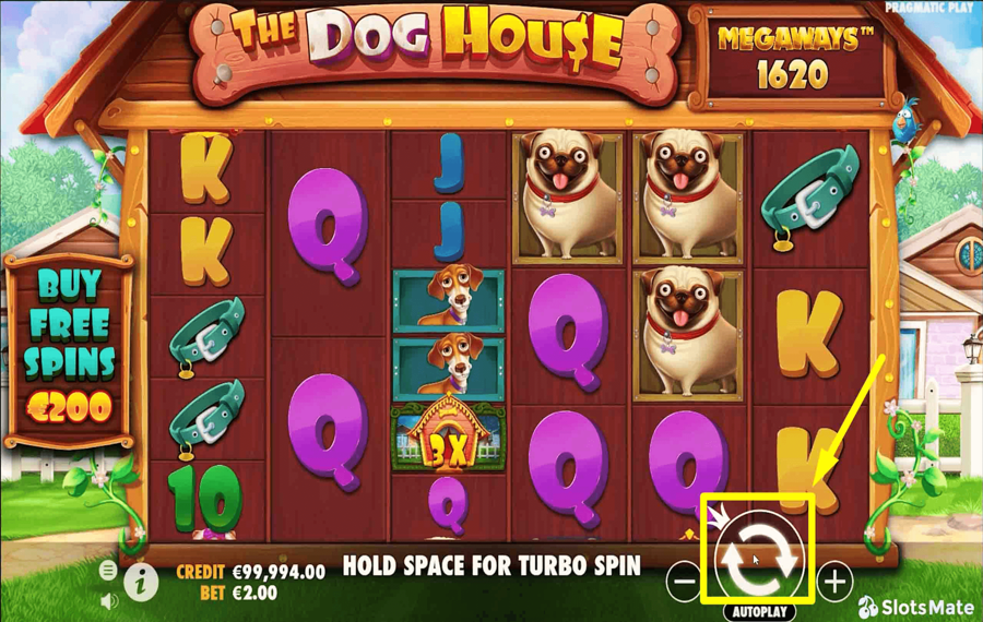 The Dog House Megaways Cliquez/appuyez sur le bouton « Spin ».