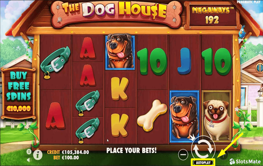 The Dog House Megaways Utilisation de la fonction facultative « Lecture automatique ».