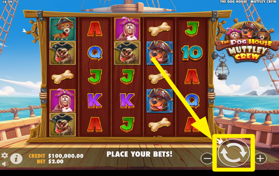 The Dog House Muttley Crew PARTICIPATE IN THE FUN!