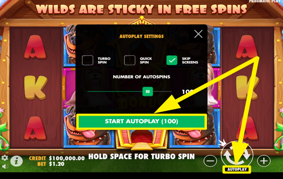 The Dog House No Dog Left Behind UTILISER LA LECTURE AUTOMATIQUE.