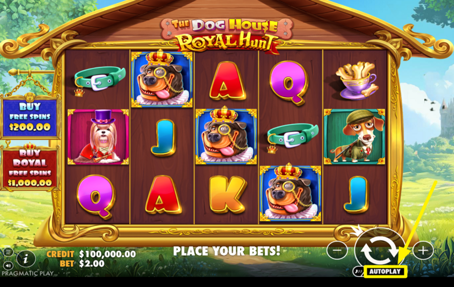 The Dog House Royal Hunt UTILISEZ DES TOURS AUTOMATISÉS.