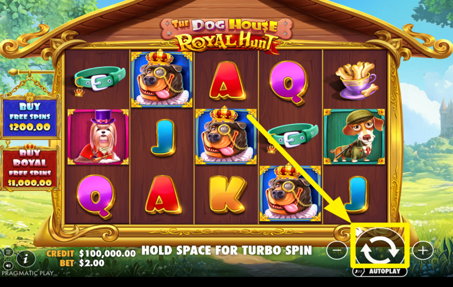 The Dog House Royal Hunt ALLUMEZ L'EXCITATION !