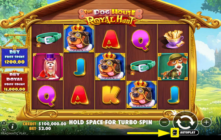 The Dog House Royal Hunt MAXIMISEZ LA VITESSE.